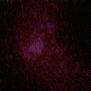 性巴骚麦一二三区
