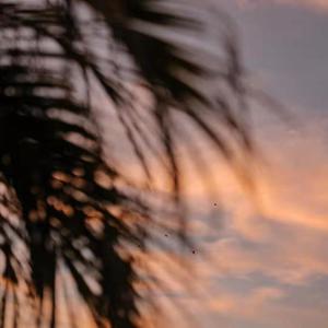 性巴骚麦一二三区
